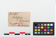 Etiketten zu Bronzeradanhänger (NHMW-PRAE-024131)